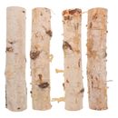 4 troncos de abedul ramas de abedul natural tronco de abedul natural para material artesanal