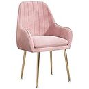AQQWWER Chaises Living Room Sofa Furniture Chair Modern Minimalist Dressing Sofa Chair Plush Light Bedroom Lounge