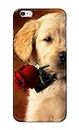 PRINTFIDAA® Printed Hard Back Cover Case for Apple iPhone 6 | iPhone 6S Back Cover (Puppy Dog) -2201