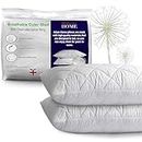 Adam Home Pillows 2 Pack Hotel Quality with Quilted Cover (2 Pillows) Filled Pillows for Stomach, Back and Side Sleeper, Down Alternative Bed Pillow-Soft Hollow-Fiber Hotel Pillows