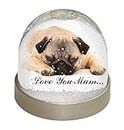 Advanta Group Pug Dog 'Love You Mum' Photo Snow Globe Waterball