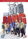 The Big Bang Theory - Season 10 [DVD] [2017] - DVD  25VG The Cheap Fast Free