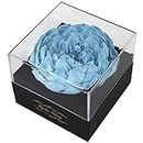 Kylin Glory Fresh Cut Flower Preserved Peony for Women Mom Wife Girlfriend - Flower Gift Real Peony Decor for Mother's Day Valentine's Day Wedding Party Celebration Birthday Anniversary (Sky Blue)