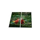 Copri Piano Cottura Ceranfeld - Pájaro Rosso 2 x 30 x 52 Piastre in Vetro a induzione