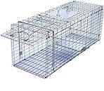 Trapro Large Collapsible Humane Live Animal Cage Trap for Raccoon, Opossum, Stray Cat, Rabbit, Groundhog and Armadillo - 32" x 11" x 13"