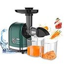 Cold Press Juicer Machines Easy to Clean, Slow Speed Juice Extractor for Celery Carrot Leafy Greens Wheatgrass, with Quiet Motor, Reverse Function, for Fruits and Vegs, BPA-Free, Dishwasher Safe