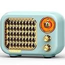Tendak FM Retro Radio mit Bluetooth 5.1, Nostalgie Radio Klein mit 1000mAh Wiederaufladbare Batterie, Kleines Radio Mini Radio Retro, Transistorradio Unterstützt USB/Aux/TF/Funktion