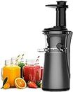 Professional Juicer Machine with Quiet Motor - Slow Masticating Juicers Whole Fruit and Vegetable, Professional Cold Press Juicer Extractor - Reverse Function with Brush