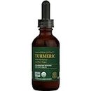Global Healing Organic Turmeric with Black Pepper Extract Liquid Herbal Supplement to Support Joint Mobility and Digestive Health - Antioxidant to Support Heart Health & Natural Well-Being - 2 Fl Oz