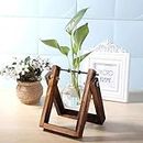Smokey Cocktail Unique Style Glass Planter with Wood Stand for Table Top Indoor Planter Desktop Table Decor Home Office, Plant Terrarium, Air Planter Bulb Glass Vase (Single Flask)