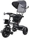JoyRide Stroller Tricycle| Baby Trike|Tricycle with Canopy and Parental Adjust Push Handle for Kids|Boys|Girls Age Group 1.5 to 5 Years (Black)