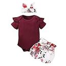 WOCACHI Baby Girls Pants Sets, Infant Baby Girls Ruffles Solid Romper Bodysuit+Floral Shorts+Headband Outfits Tshirts Tops Tunic Shirts Princess Bunny Pants Sunsuits Sun Protection Bowknot