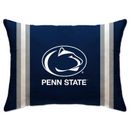 Penn State Nittany Lions 20'' x 26'' Plush Bed Pillow
