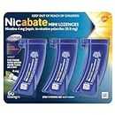 Nicabate Minis, Nicotine Craving Control & Quit Smoking Lozenge, 4mg Nicotine Lozenges, Mint, 60 Pieces