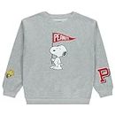 Peanuts Ladies Snoopy Fashion Sweatshirt Crewneck with Chenille Patch and Embroidery Sleeve Prints - Snoopy Sweatshirt, Light Grey Heather, X-Large