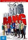 The Big Bang Theory: Season 10 (DVD)