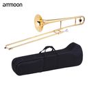 B Flat Trombone Gold Brass with Mouthpiece Case Gloves for Beginner Student E1W9