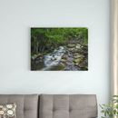 East Urban Home 'Little Stony Creek Flowing Through Jefferson National Forest Virginia' Photographic Print on Wrapped Canvas | Wayfair