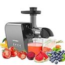 Fruit Vegetable Juicer Machine,Cold Press Slow Masticating Juicer Quiet Motor Easy To Clean,Juice Extractor BPA-Free Dry Pulp Dishwasher Safe for Celery Carrots Beets Greens Ginger Wheatgrass