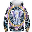HEYLInUP Colourful Elephant Unisex Teen Boys Girls 3D Printed Hoodies Kids Sportswear Grassland Animals Hoody Jumper Funny Clothes Long Sleeve with Pockets for 6-15 Years 10-12Y