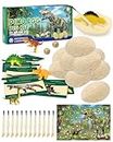 Dinosaur Toys, Dinosaur Egg Dig Kit Kids- Surprise Eggs Pack with 12 Unique Dinosaurs- Easter Eggs Science STEM Gifts for Boys Girls Dino Eggs Excavation Toy for Age 4 5 6-8 8-12 Year Old