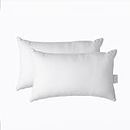 Pillow Inserts Pack of 2, White 12x20 Inches - Ideal for Decorative Pillow Covers, Sofa, Bed, and Living Room - Plush and Cozy Throw Pillow, Home Décor