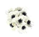 Floral Kingdom 8 pcs Real Touch Anemone Poppy Bouquet for Artificial Flower Decor (White)