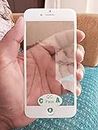 MrSpares Front Screen Outer Touch Glass Cover Panel Lens with Frame Compatible for iPhone 7 : White