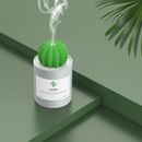 Air Humidifier Cactus Aroma Oil Diffuser Home Mini Air Purifier