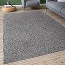 THE RUGS Low Pile Area Rugs – Modern Indoor Rugs for Living Room, Bedroom, Dining Room, Entryway – Non-Shedding (Grey, 140x200 cm)
