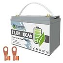 Lithium Battery 12V 100Ah LiFePO4 Batteries with 100A BMS, Deep Cycle Rechargeable Lithium Iron Phosphate Battery, for Solar, Marine, Trolling Motor, Boat, RV