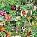 UGAOO Indian Vegetable Seeds Bank For Home Garden 50 Varieties - 2255 Seeds