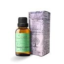 Organic Sweet Birch Essential Oil | Pure & Natural | 30ml - 1oz | Aromatherapy | Spiritual Awakening | Strength Boost | Confidence | Diffuser Oil | Bath Oil
