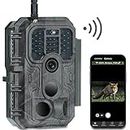 Meidase P200 Wildlife Camera WiFi App, 48MP 1296P Video Trail Camera with 100ft Night Vision, 0.1s Motion Activated, Garden Camera Trap, Outdoor Cam