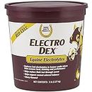 Horse Health Electro Dex Equine Elecrolytes, 5-Pound