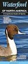 Waterfowl of North America: A Comprehensive Guide to All Species