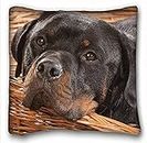 My Honey Pillow Pillow Cover dog dog rottweiler 18 in*18 Twin Sides by My Honey Pillow