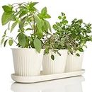 KIBAGA Beautiful Herb Garden Planter Indoor Set of 3 - Perfect for Any Kitchen Window Sill or Countertop - A Modern Decor Gardening Planter Kit Incl. Tray & Drainage Holes to Grow Fresh Herbs at Home