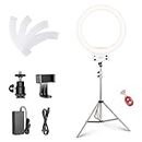 Neewer 18-inch White LED Ring Light with Silver Light Stand Lighting Kit Dimmable 42W 3200-5600K with Soft Filter, Hot Shoe Adapter, Cellphone Holder for Make-up Video Shooting
