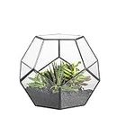 NCYP Geometric Glass Terrarium - 17.5 x 17.5 x 15 cm - Ball Shape Open Planter Pot for Small Succulents Plants, Handmade, Home Garden Indoor Tabletop Decor Black (No Plants)