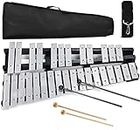 MIRIO 30 Notes Foldable Glockenspiel Xylophone Percussion Set, Glockenspiel Bell Kit With Carry Bag, Mallets for Beginner/Professional, Children Educational Percussion Musical Instrument (Silver)