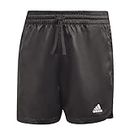 Adidas Men's Bermuda Shorts (IB8396_Black_L)