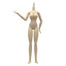 Obitsu Doll, 10.6 inches (27 cm), Obitsu Body, Women's, SBH, Bust Size, M, Whity, Soft Vinyl, Movable Figure Body