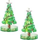 IDELLA Magic Growing Crystal Christmas Tree, DIY Christmas Decorations Tree, Funny Educational and Party Toys, Kids DIY Felt Magic Growing Xmas Ornaments