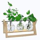 laffeya Plants Propagation Stations, Hydroponic Terrarium Kit- Desktop Glass Flower Planter 3 Glass Vase with Wood Stands for Home Office Decor, Plant Gifts for Plant Lovers (3 Bulb Vase C, Beige)