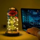 Beauty And The Beast Enchanted Red Rose Glass Dome LED Lamp Valentine's "Gifts