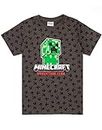 Minecraft T-Shirt Boys Kids Kids Creeper Manches Courtes Grey Top Marchandise 10-11 Ans