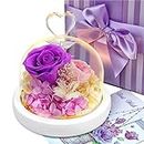 luntim Preserved Flowers Roses, Birthday Flowers Gifts for Women, Light up Fresh Flowers, Roses Gifts for Mom, Girlfriend, Mothers Day, Thank You, Christmas，2 Purple Roses in Glass Dome, 5.1in