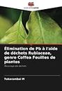 Élimination de Pb à l'aide de déchets Rubiaceae, genre Coffea Feuilles de plantes: Recyclage des déchets