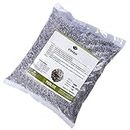Utkarsh Perlite for Home Terrace Gardening, Hydroponics & Horticulture | Soil Conditioner for Potting Soil Mix, Enhance Drainage & Aeration, for Indoor & Outdoor Plants | 900 gm; Pack of 1